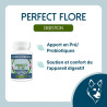 Perfect Flore - Pre/Probiotic digestive support for dogs - Lore & Science